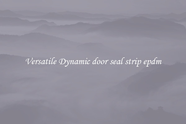 Versatile Dynamic door seal strip epdm