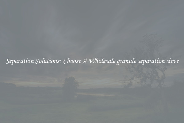Separation Solutions: Choose A Wholesale granule separation sieve