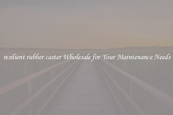 resilient rubber caster Wholesale for Your Maintenance Needs