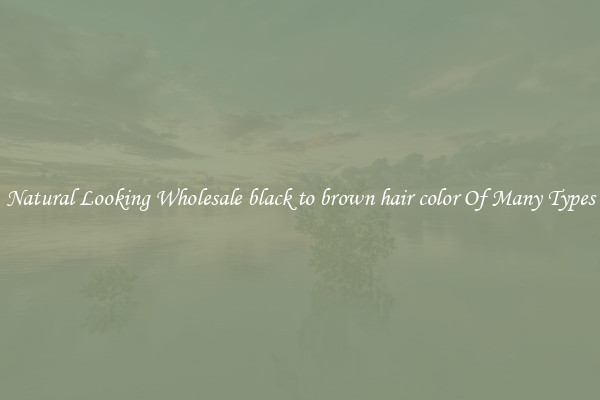 Natural Looking Wholesale black to brown hair color Of Many Types