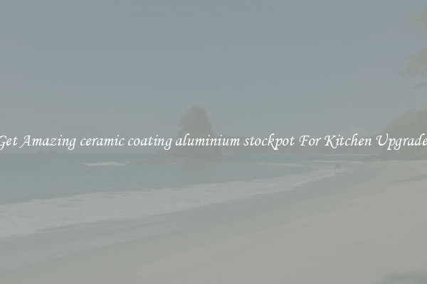 Get Amazing ceramic coating aluminium stockpot For Kitchen Upgrades