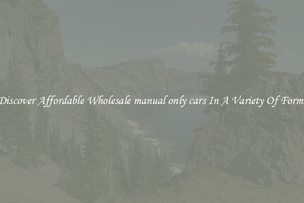 Discover Affordable Wholesale manual only cars In A Variety Of Forms