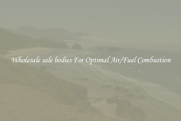 Wholesale sale bodies For Optimal Air/Fuel Combustion
