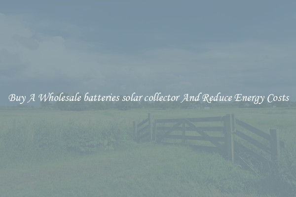Buy A Wholesale batteries solar collector And Reduce Energy Costs