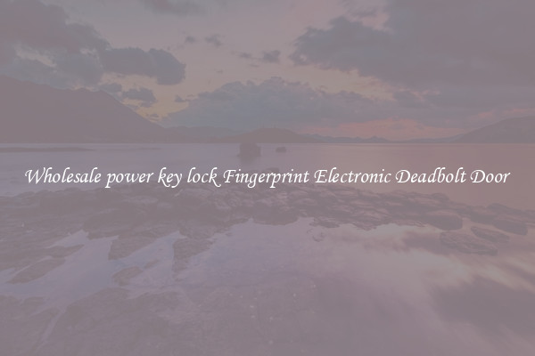 Wholesale power key lock Fingerprint Electronic Deadbolt Door 