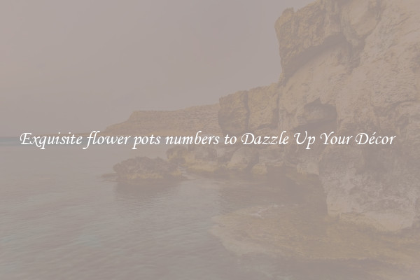 Exquisite flower pots numbers to Dazzle Up Your Décor  