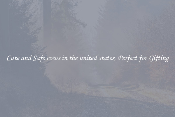 Cute and Safe cows in the united states, Perfect for Gifting
