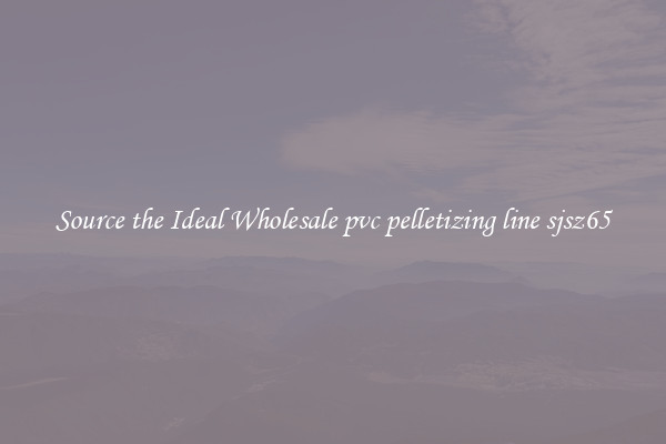 Source the Ideal Wholesale pvc pelletizing line sjsz65