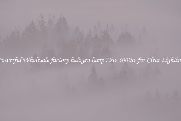 Powerful Wholesale factory halogen lamp 75w 3000w for Clear Lighting