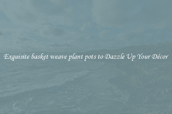 Exquisite basket weave plant pots to Dazzle Up Your Décor 
