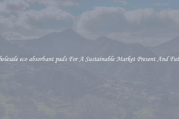 Wholesale eco absorbant pads For A Sustainable Market Present And Future