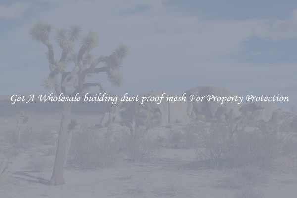 Get A Wholesale building dust proof mesh For Property Protection