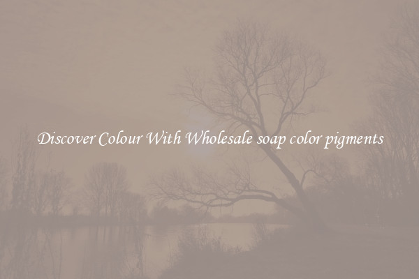 Discover Colour With Wholesale soap color pigments