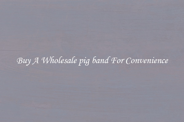 Buy A Wholesale pig band For Convenience