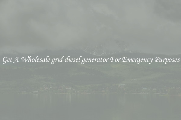 Get A Wholesale grid diesel generator For Emergency Purposes