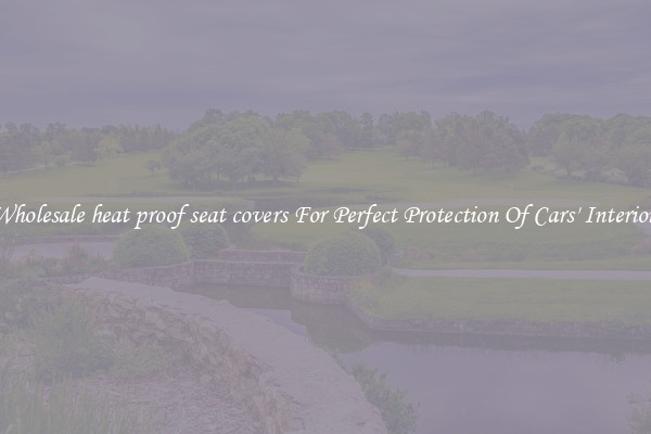 Wholesale heat proof seat covers For Perfect Protection Of Cars' Interior 