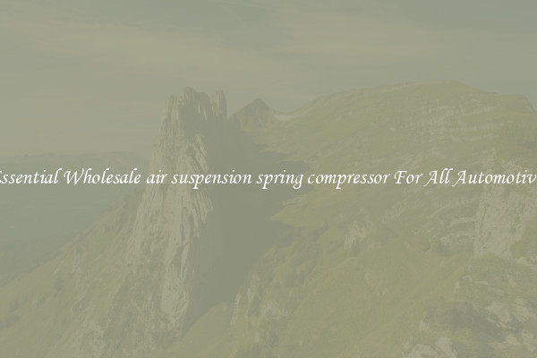 Essential Wholesale air suspension spring compressor For All Automotives