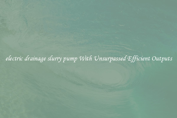 electric drainage slurry pump With Unsurpassed Efficient Outputs