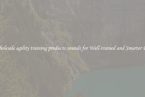 Wholesale agility training products sounds for Well-trained and Smarter Pets