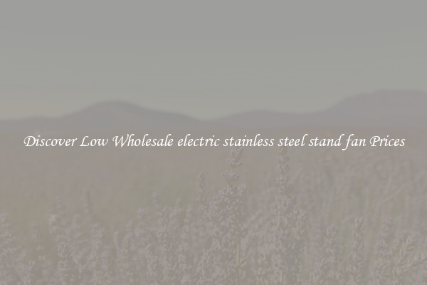 Discover Low Wholesale electric stainless steel stand fan Prices
