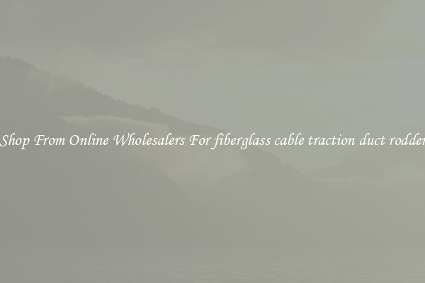 Shop From Online Wholesalers For fiberglass cable traction duct rodder