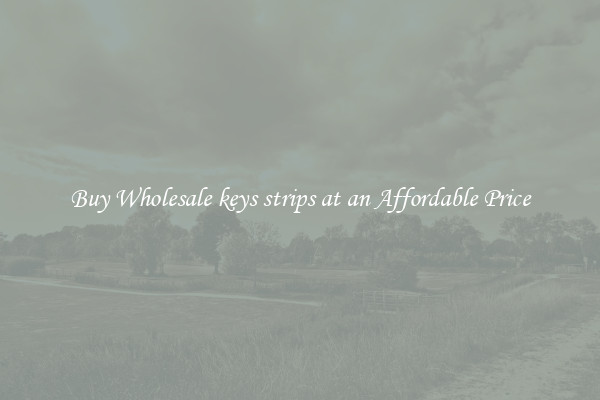 Buy Wholesale keys strips at an Affordable Price